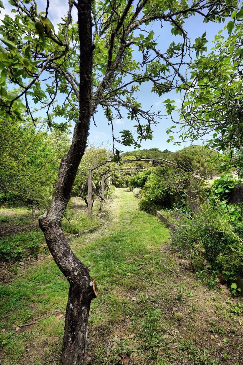 Casa Da Rampa Villa Sintra Dış mekan fotoğraf
